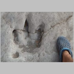 05a-DSCN1011cr close.jpg